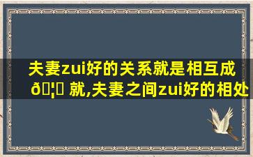 夫妻zui
好的关系就是相互成 🦁 就,夫妻之间zui
好的相处方式是相互成就